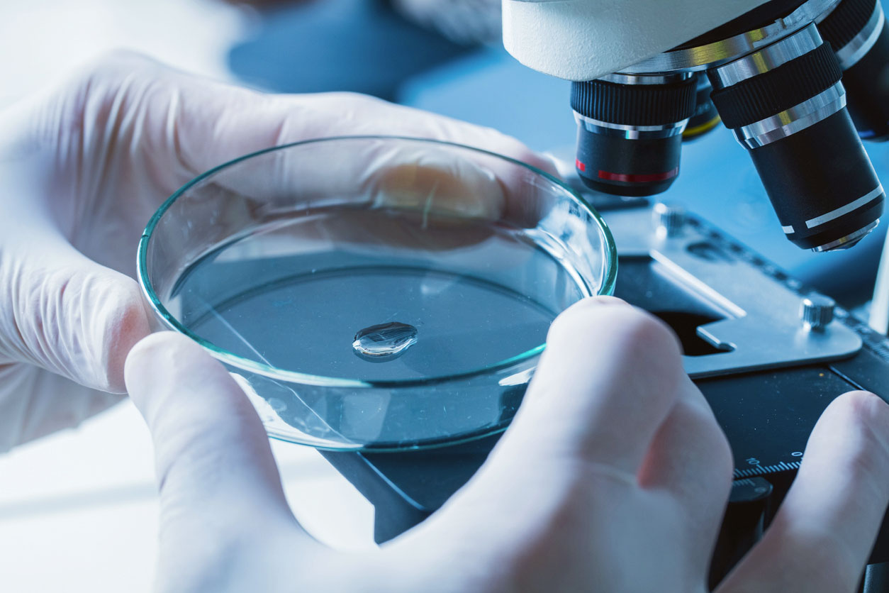 μικροπλαστικά και νανοπλαστικά