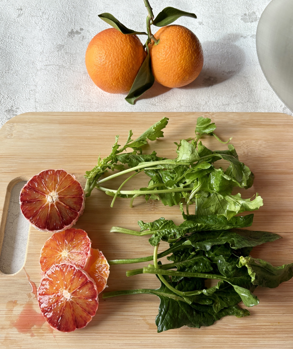 Συνταγή για σαλάτα με σαγκουίνι