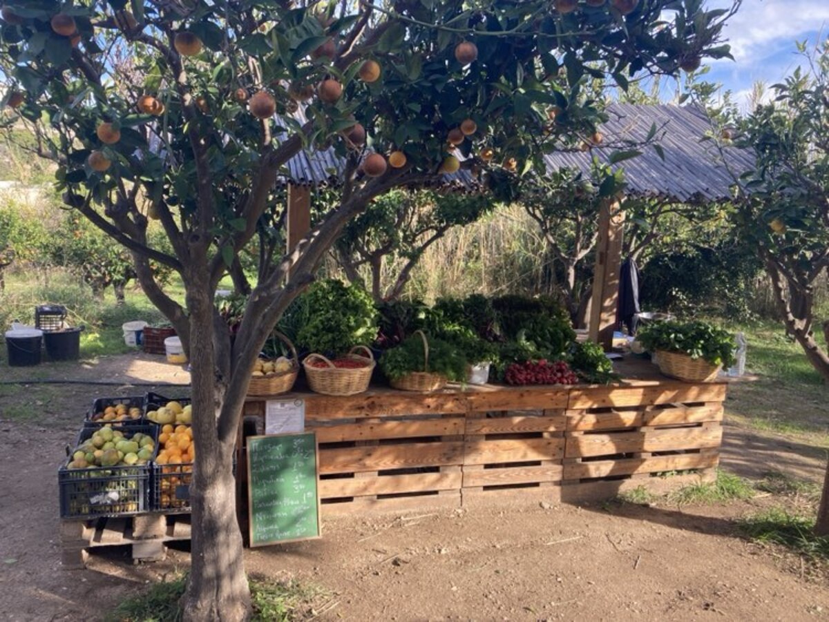 Πώς είναι να φεύγεις από την Αθήνα και να ζεις στην επαρχία