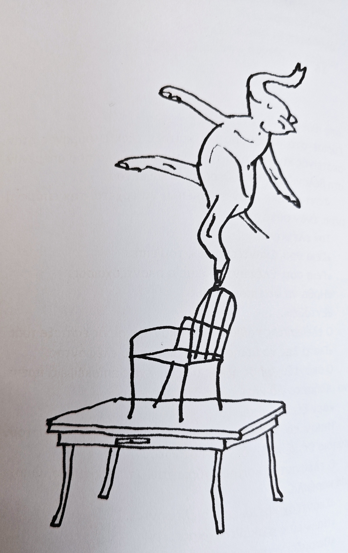 «Ο Σκαντζόχοιρος που ήθελε» είναι το βιβλίο που απαντά σε όλα τα «κι αν» που σε αγχώνουν