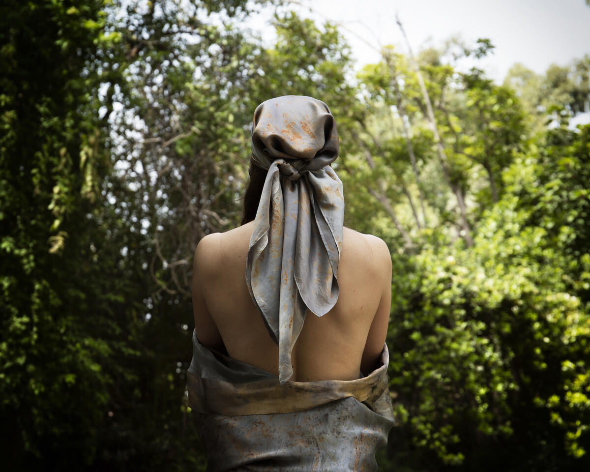 The Botanical Project