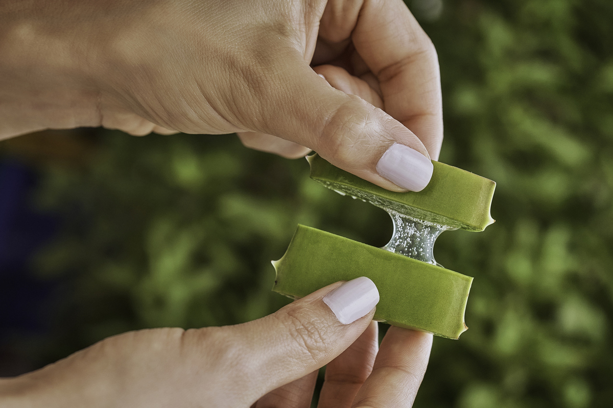 επούλωση πληγών