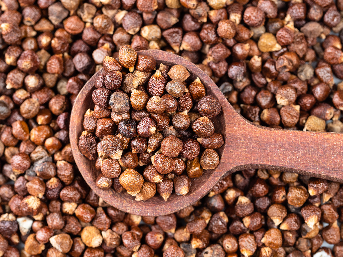 Τι είναι το πιπέρι Γουινέας και γιατί είναι τόσο ακριβό;