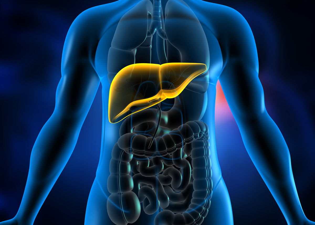 Πόσο καιρό μένει το αλκοόλ στον οργανισμό σου;