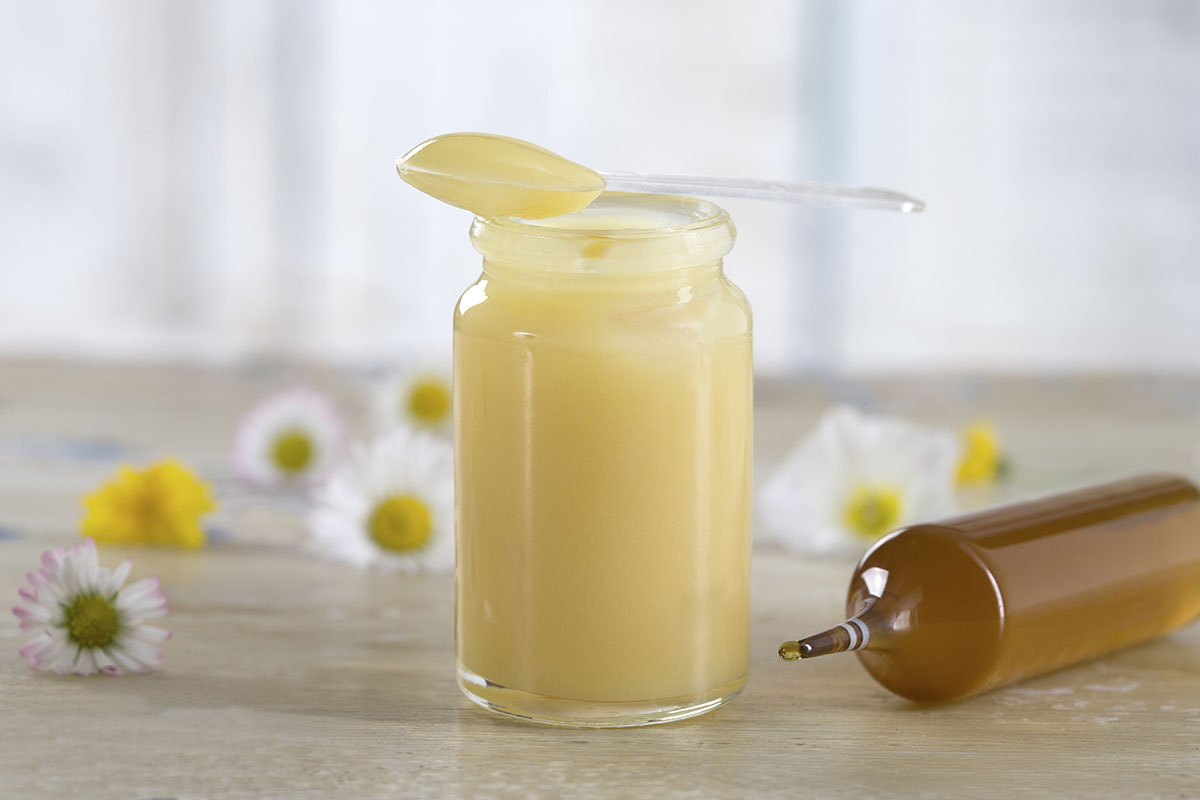 βασιλικός πολτός