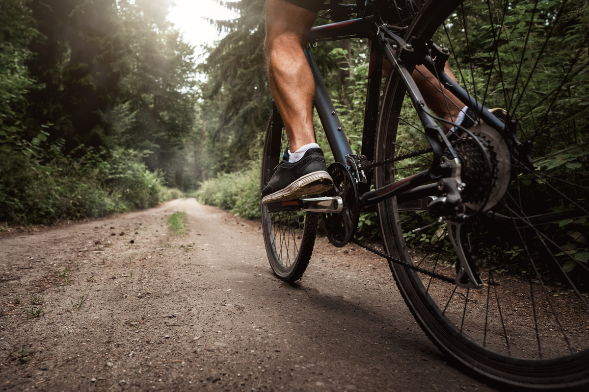 μυϊκή μνήμη