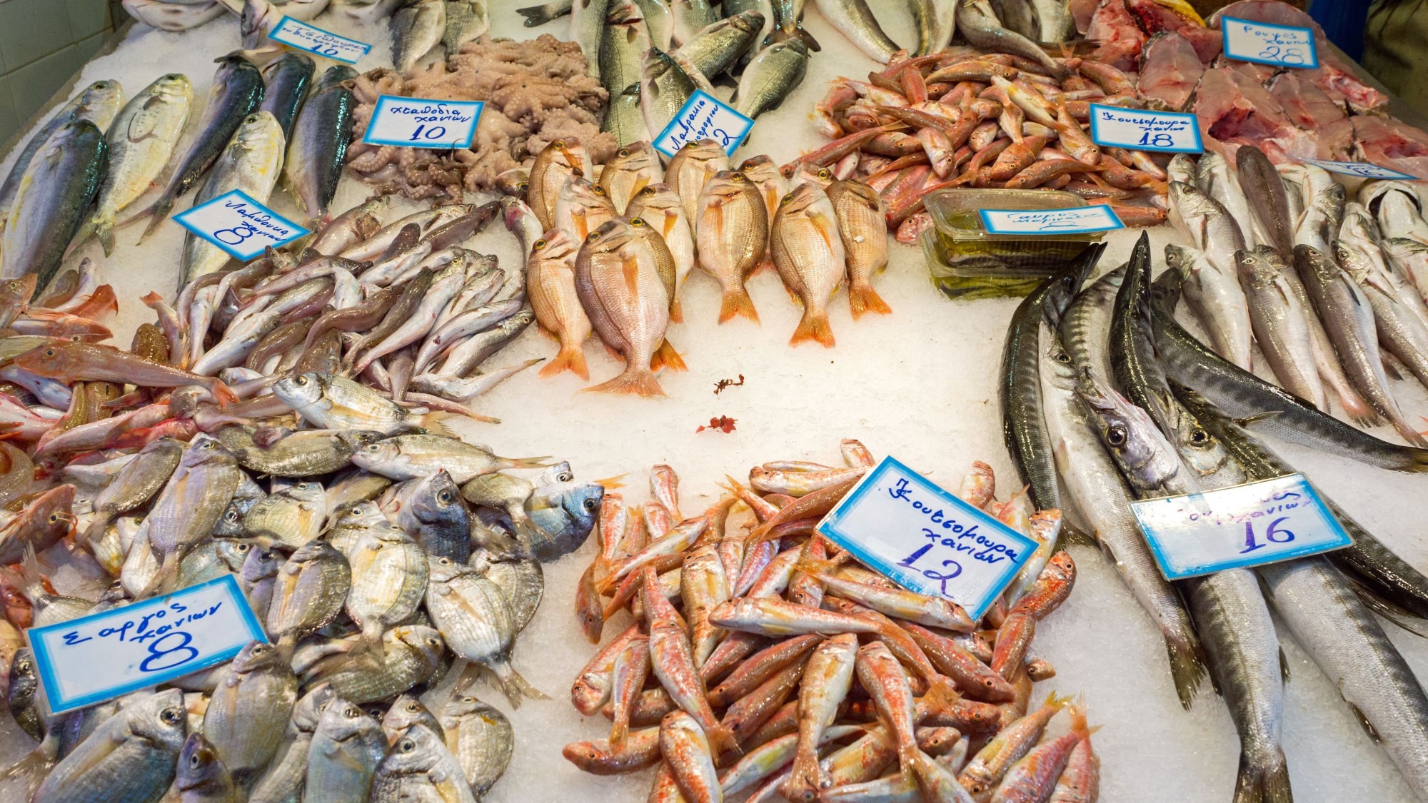 Αυτά είναι τα ψάρια που δεν καταναλώνεις αλλά θα έπρεπε