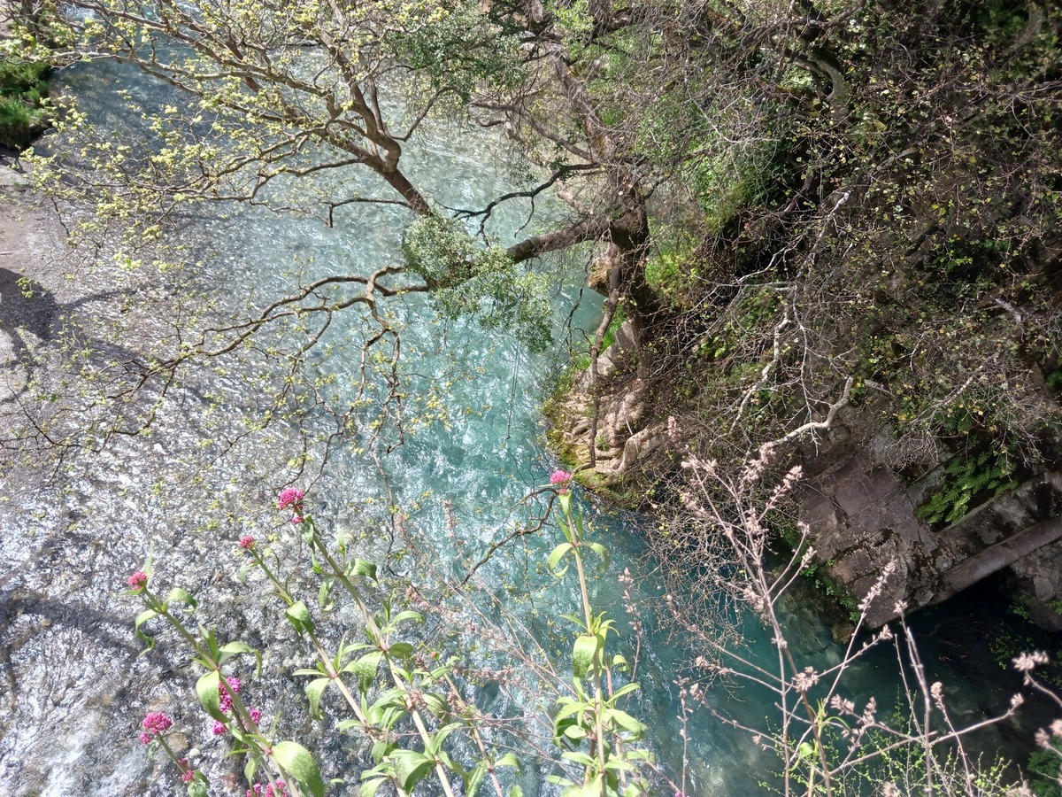 Εκδρομή στο Ελληνικό