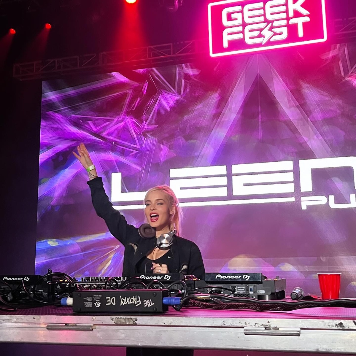 Leena Punks
