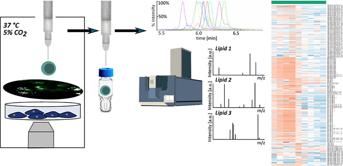 θεραπεία καρκίνου