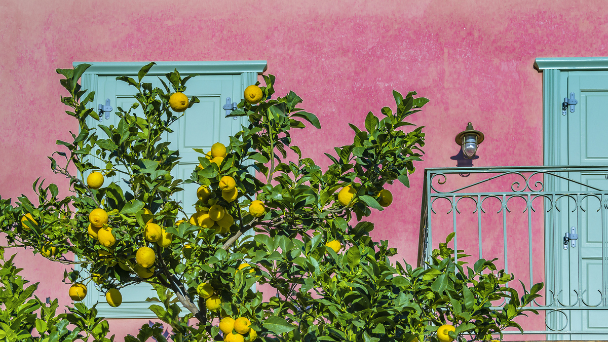 Ένα ήσυχο Σαββατοκύριακο στο Γαλαξίδι