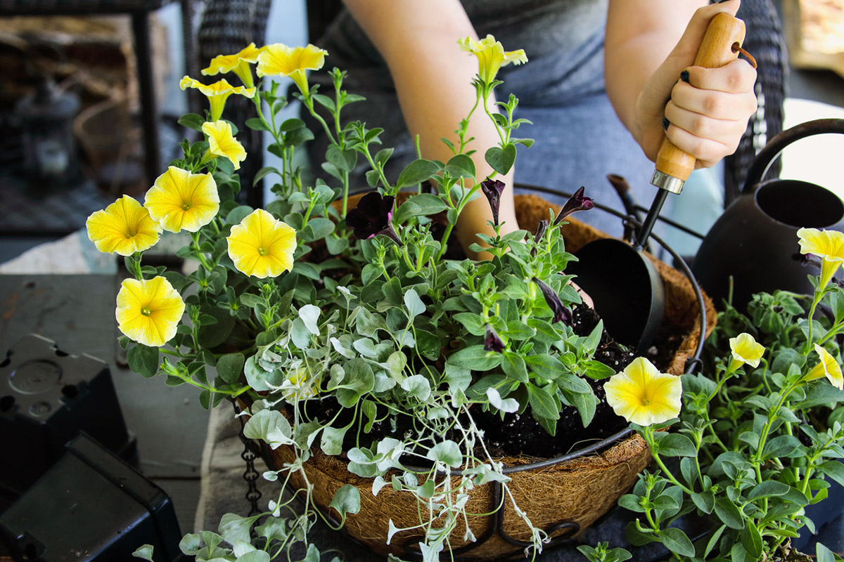 πρωτομαγιά