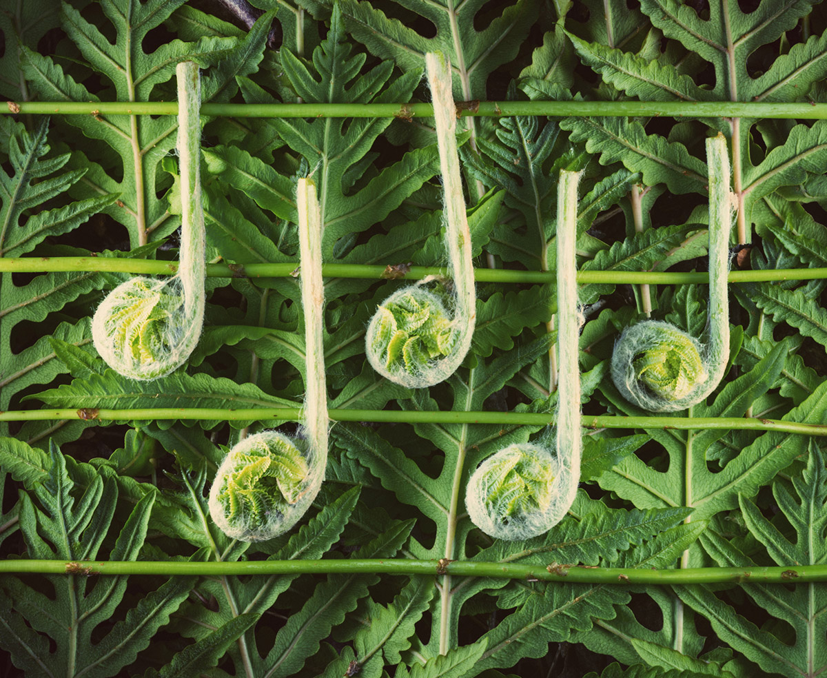 Ξέχνα τον λευκό ήχο: Τον πράσινο ήχο έχει ανάγκη η ευεξία σου