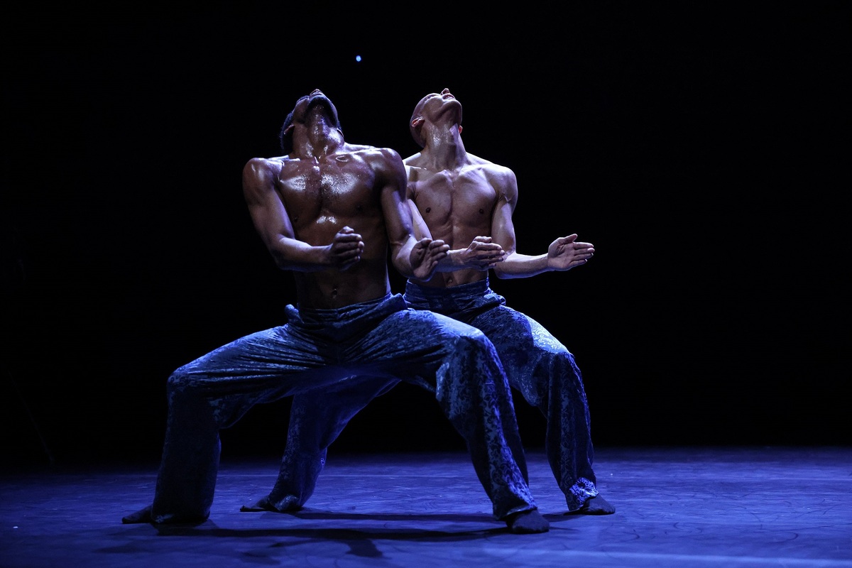 Φεστιβάλ Χορού Καλαμάτας