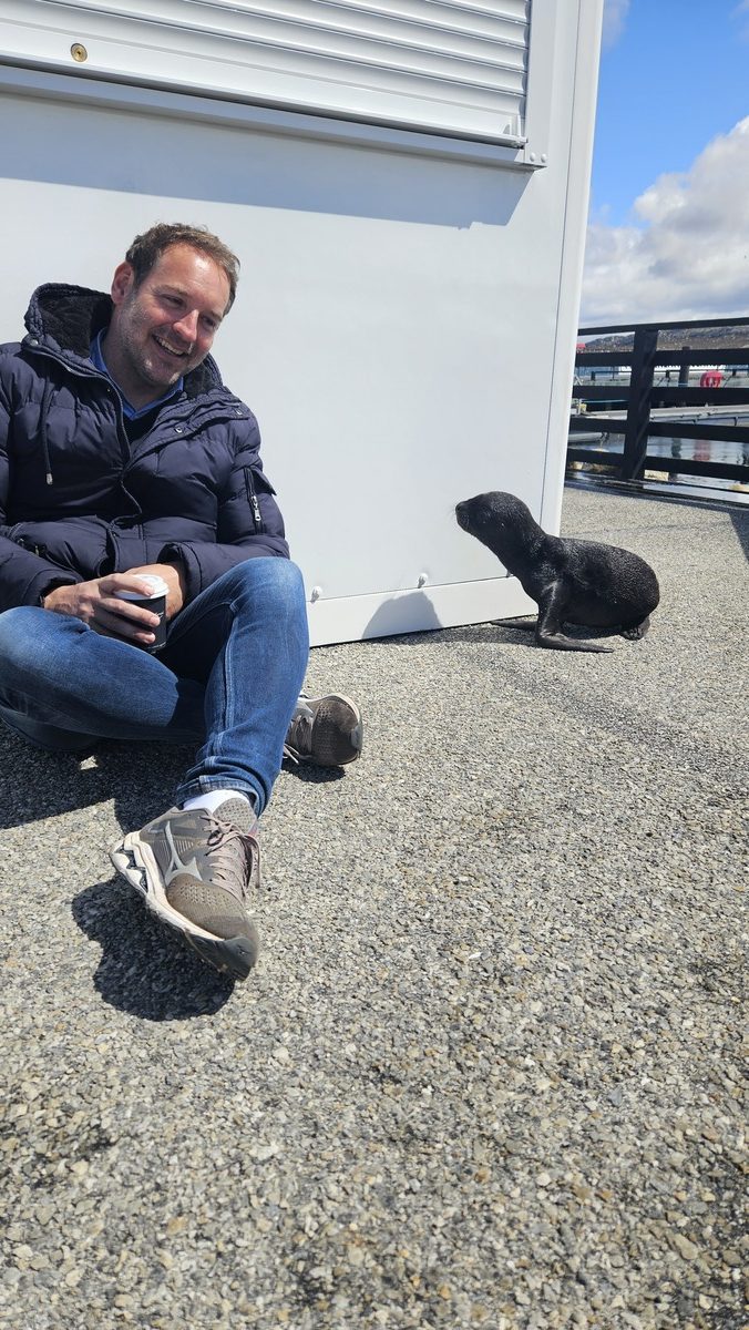 Νησιά Φώκλαντ