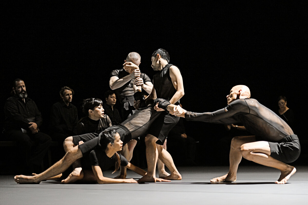 Λίντα Καπετανέα, Φεστιβάλ Χορού Καλαμάτας