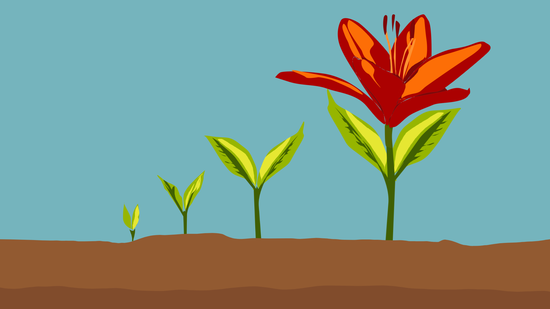 Τι συμβαίνει στο δεύτερο μισό της ζωής μας σύμφωνα με τον Carl Jung