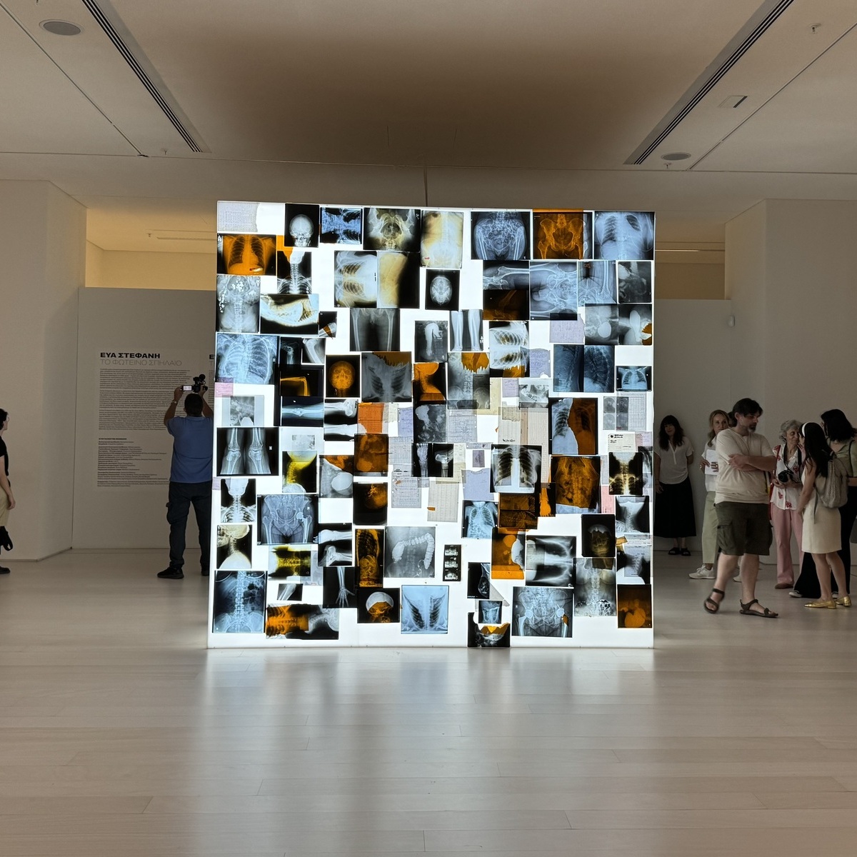 Εύα Στεφανή