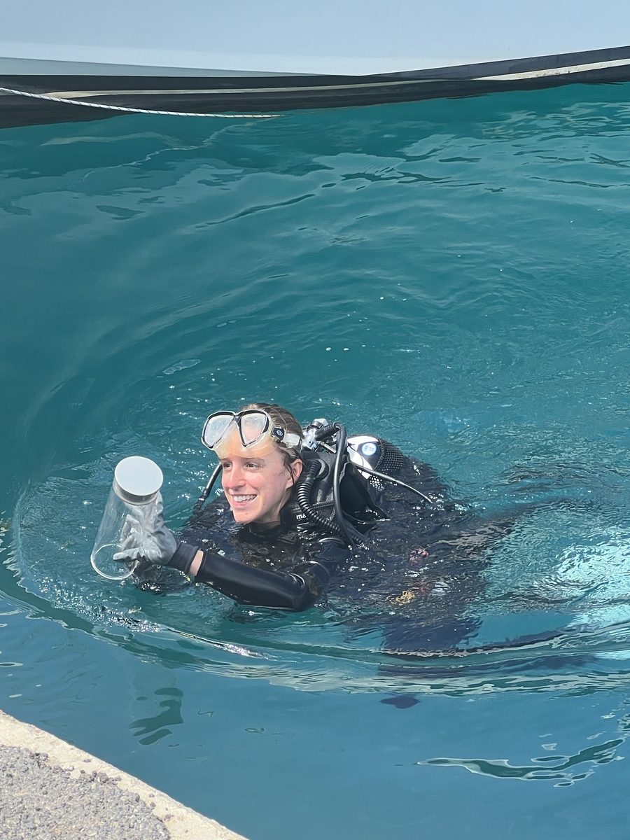 καθαρισμός βυθού 