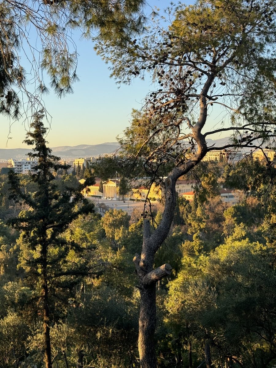 Το αγαπημένο wellness point της γειτονιάς μου