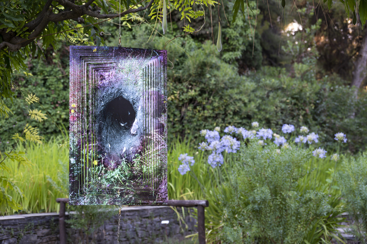 Πήγαμε για «κολύμπι στο δάσος» στην έκθεση «Shinrin-yoku»