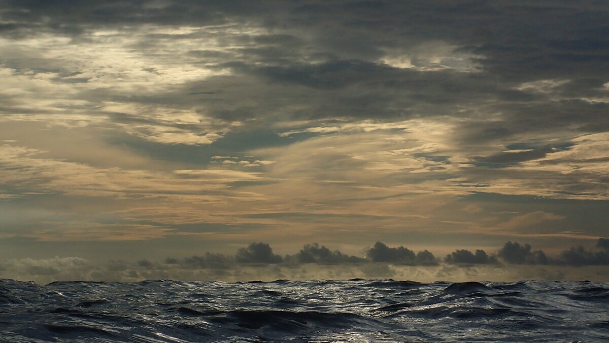 Μαρτυρία: Πως οι καταδύσεις άλλαξαν τη ζωή μου