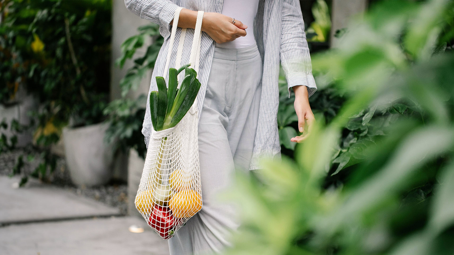 διατροφή και πλανήτης