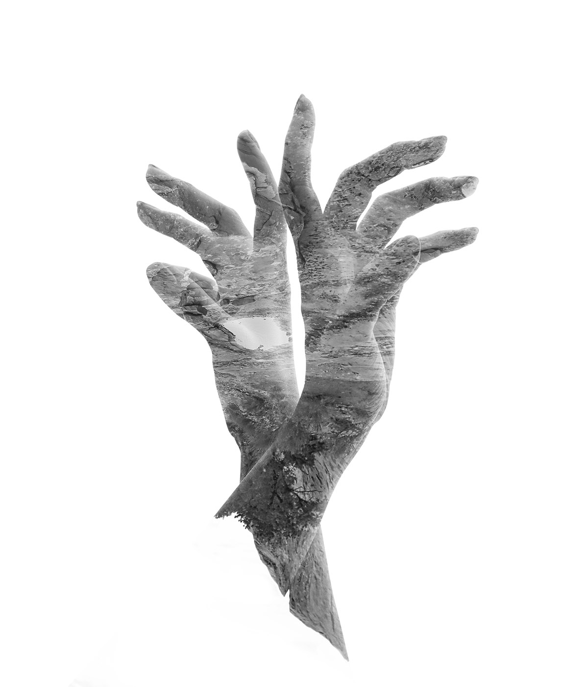 Ο Λάο Τσε και η «τέχνη του να μην προσπαθείς»