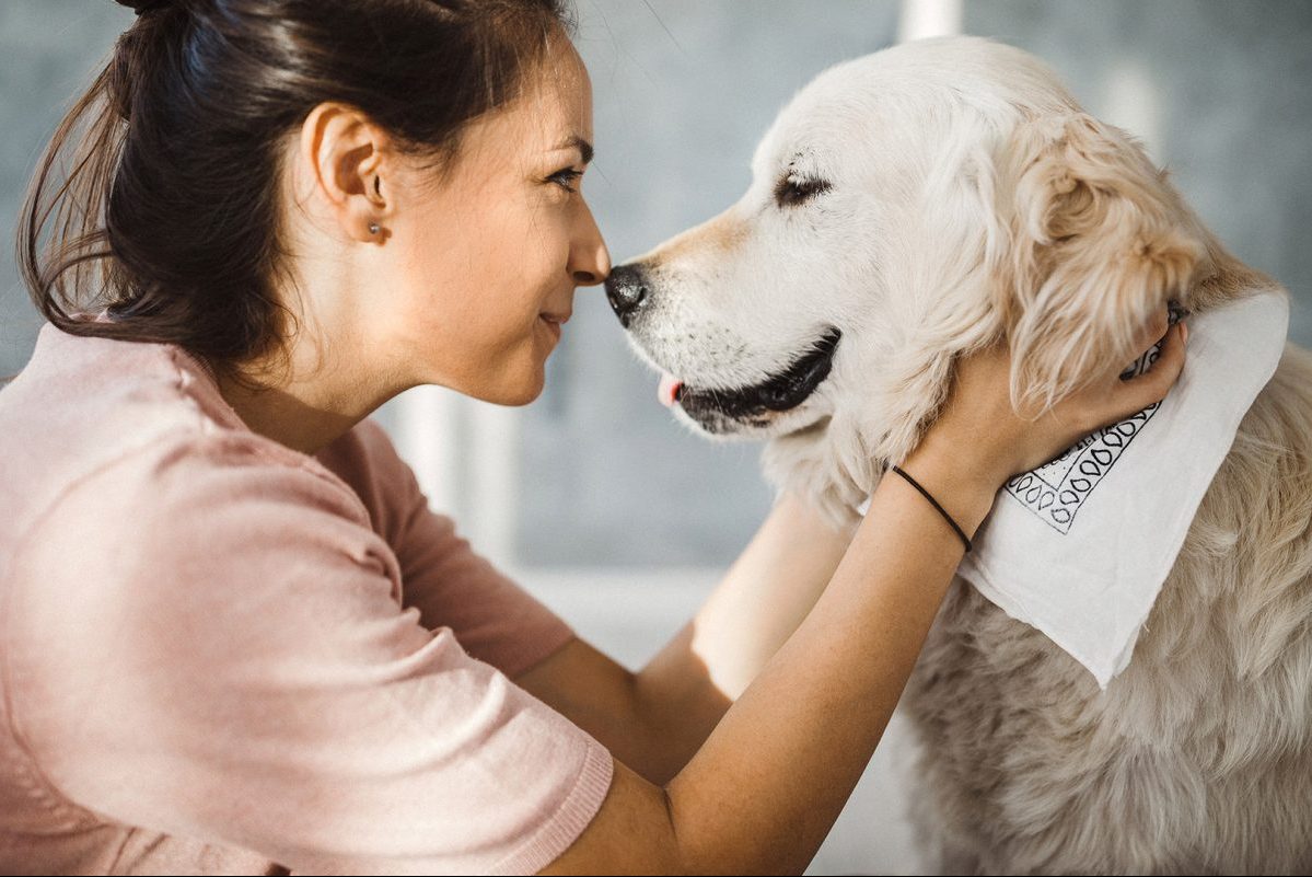 Γιατί το να μιλάς στον σκύλο σου είναι ό,τι καλύτερο