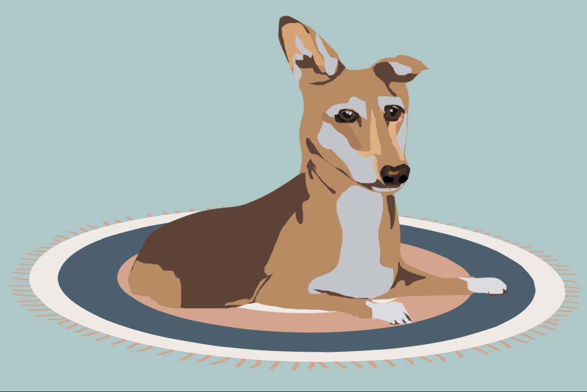 Η ημέρα που σταμάτησα να ψάχνω κάποιον να με αγαπήσει