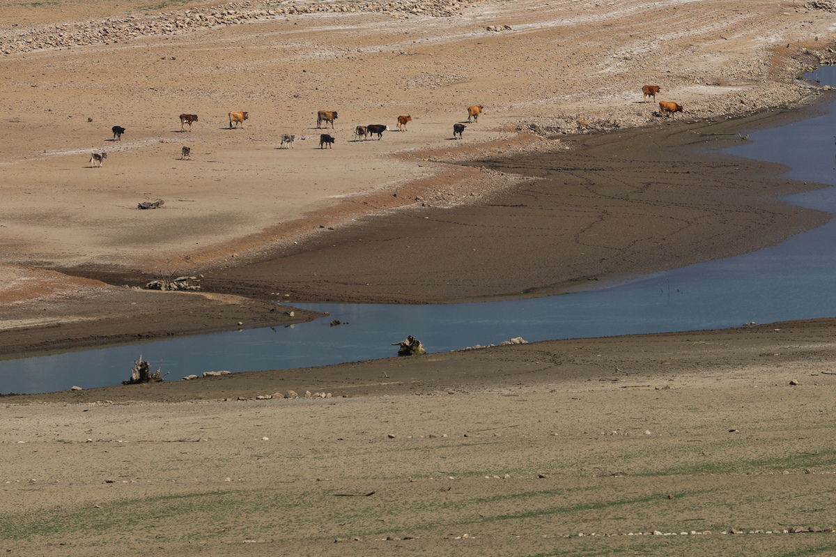 Τα αποθέματα του Μόρνου επαρκούν μόλις για τα επόμενα δύο-τρία χρόνια