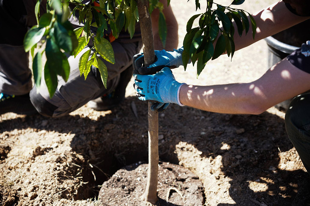 Γιατί είναι απόλυτα αναγκαίο να ζούμε όλοι κοντά στο πράσινο;