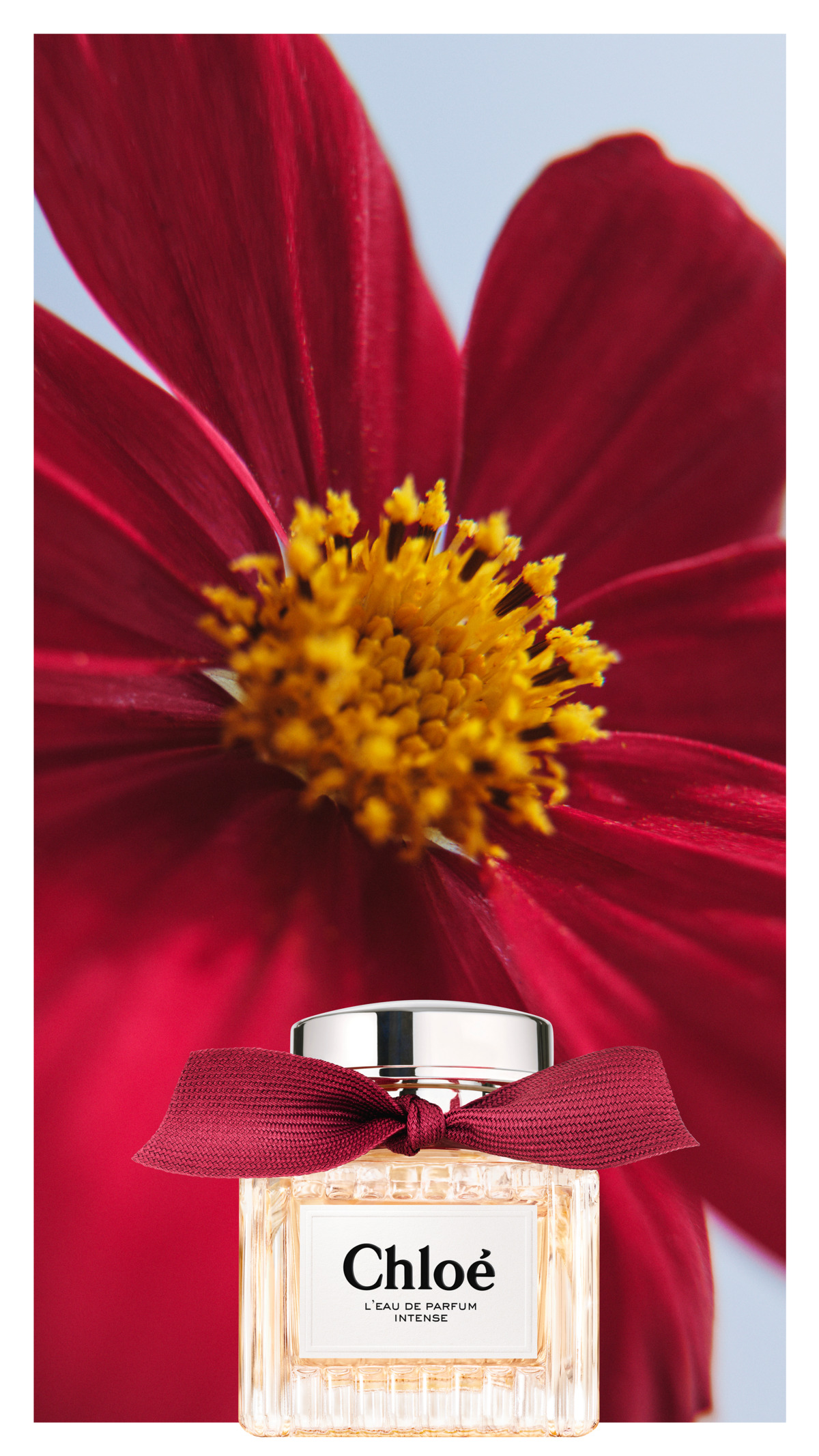 τριαντάφυλλο