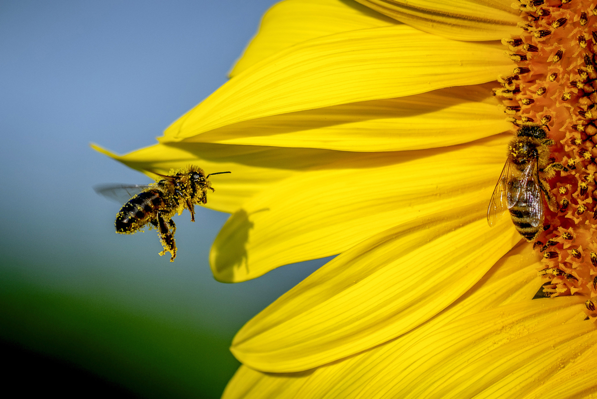 Τι συνέβαινε στον κόσμο όσο εσύ έκανες φέτος διακοπές