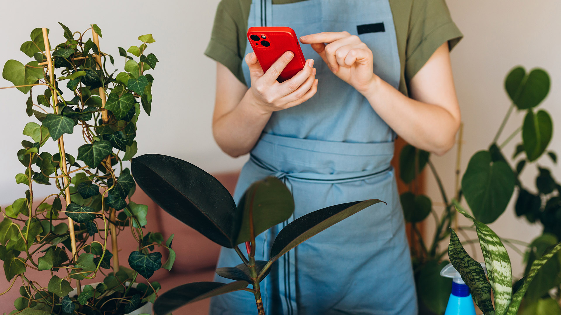 apps κηπουρικής