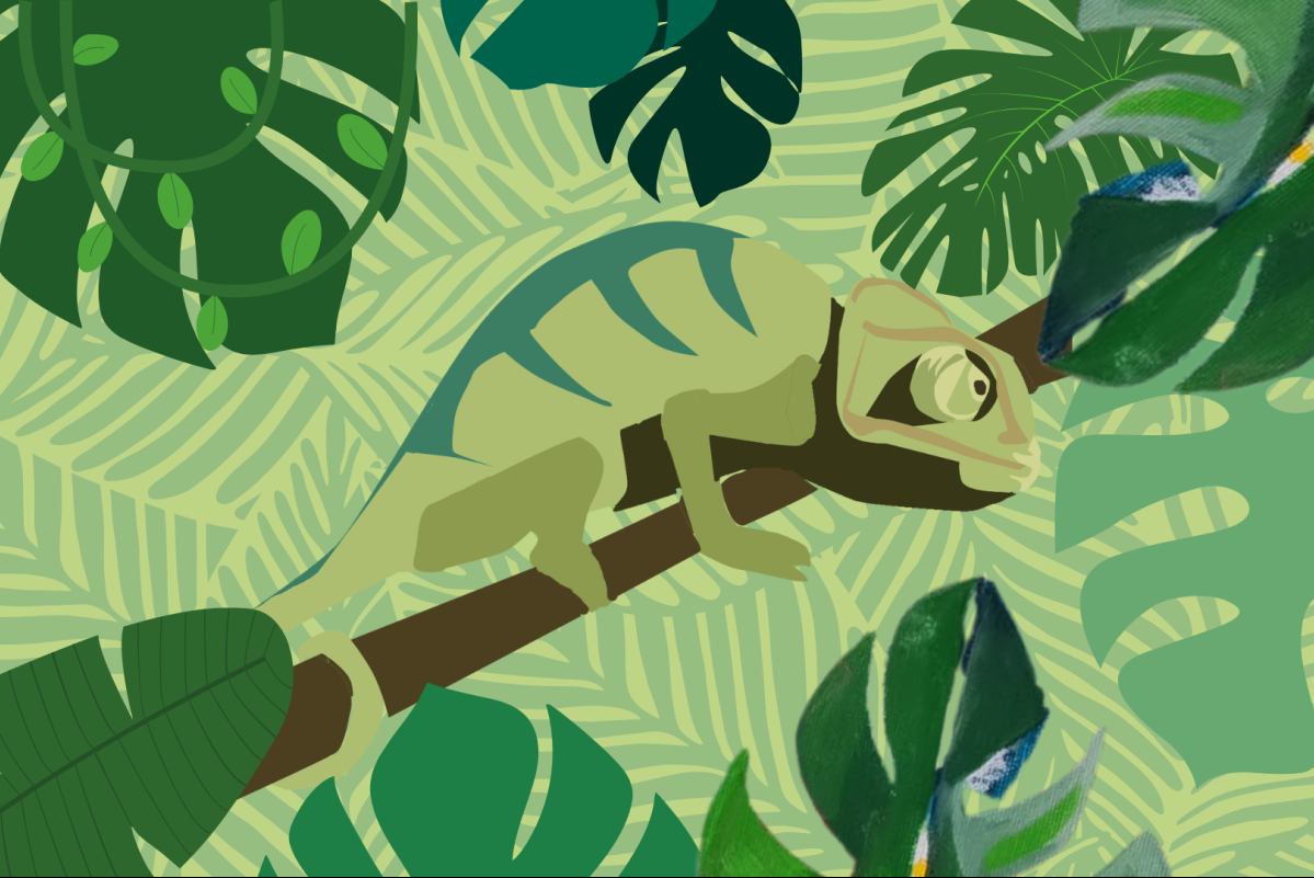 φαινόμενο του χαμαιλέοντα