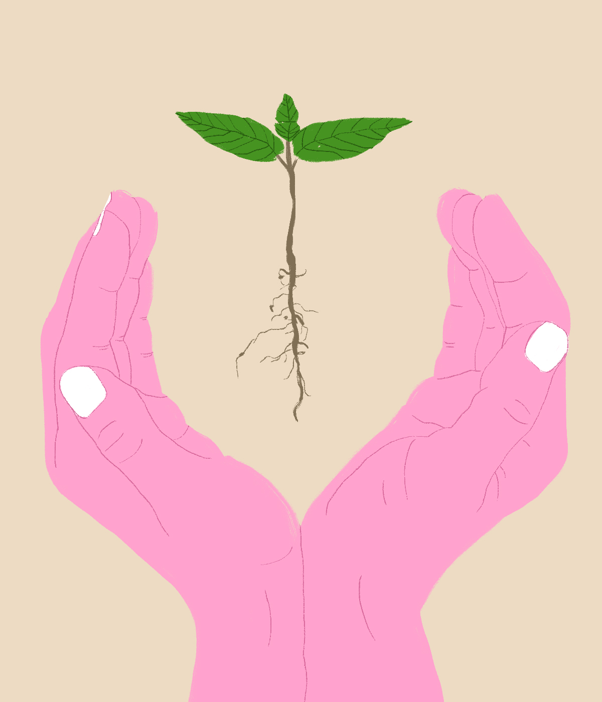 Στροφή καριέρας