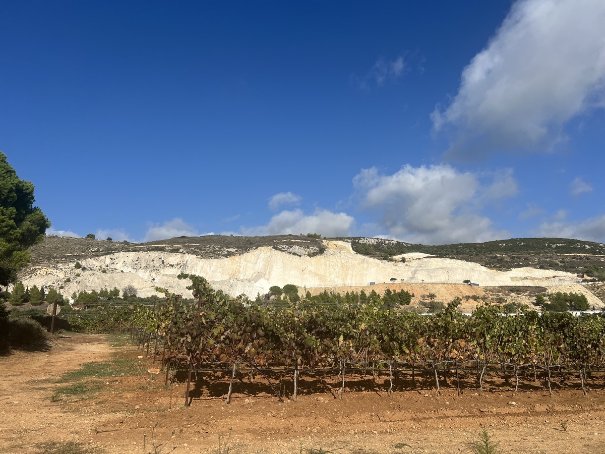 οινογνωσία κρασί Κεφαλονιά