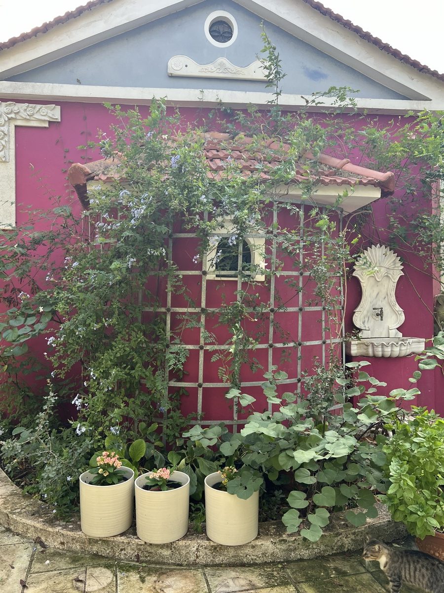 οινογνωσία κρασί Κεφαλονιά