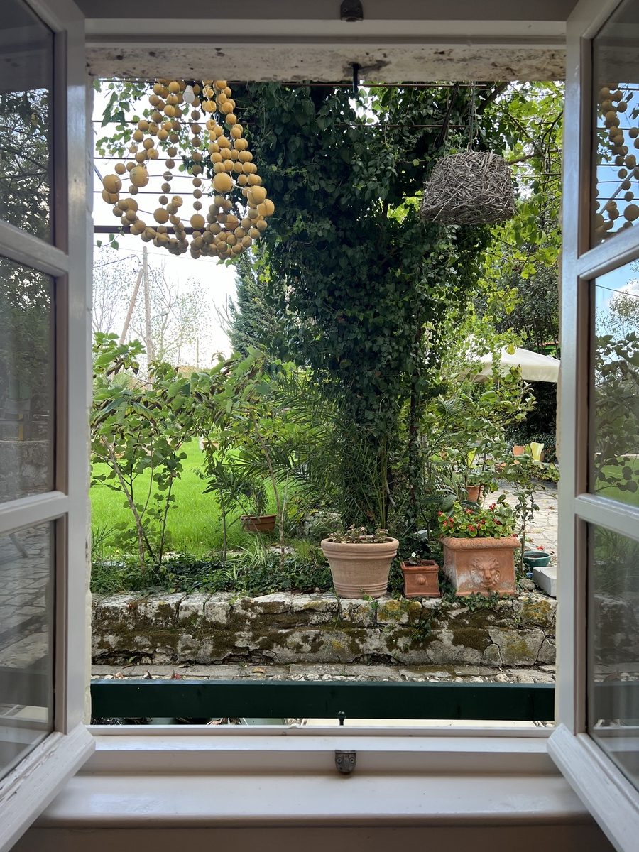 οινογνωσία κρασί Κεφαλονιά