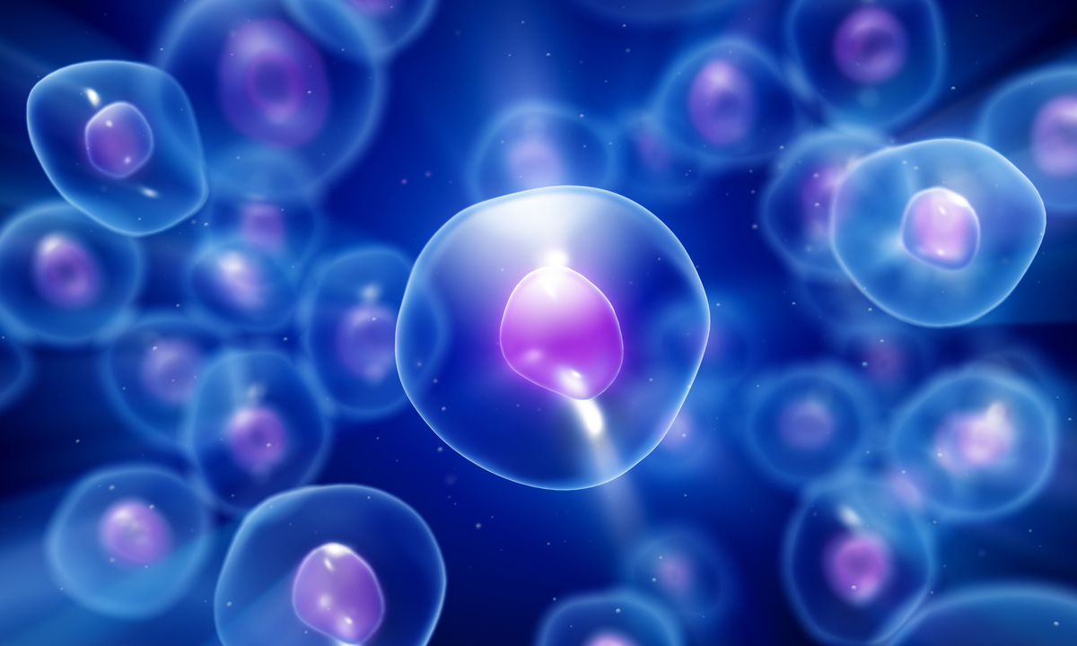 Βλαστοκύτταρα στον διαβήτη