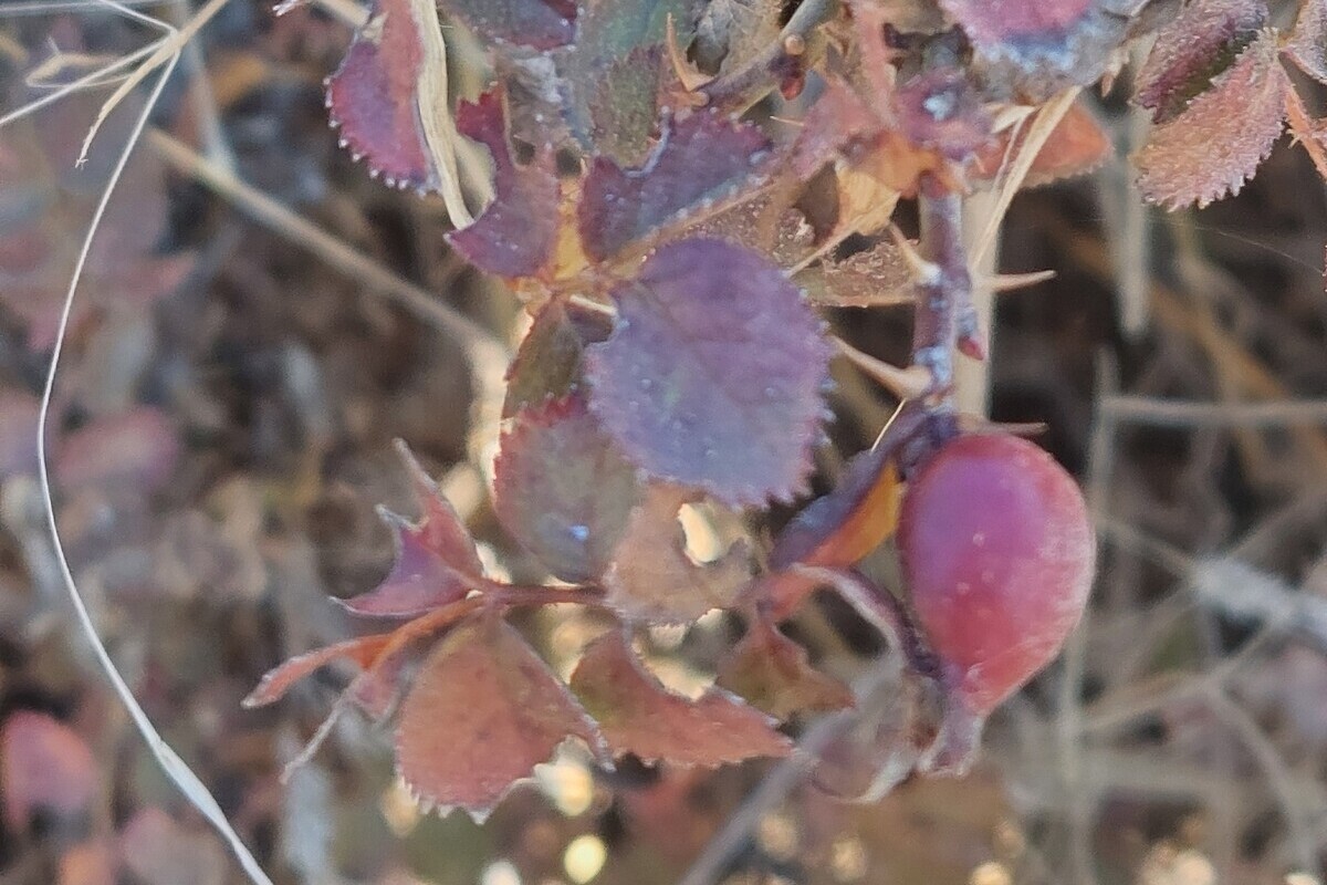 Πάρνηθα: Η τύχη-βουνό που έχεις αν ζεις στην Αθήνα