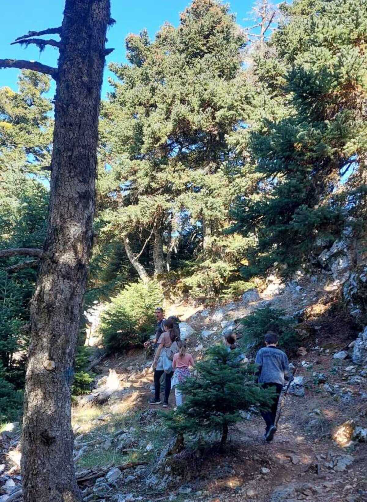 Πάρνηθα: Η τύχη-βουνό που έχεις αν ζεις στην Αθήνα