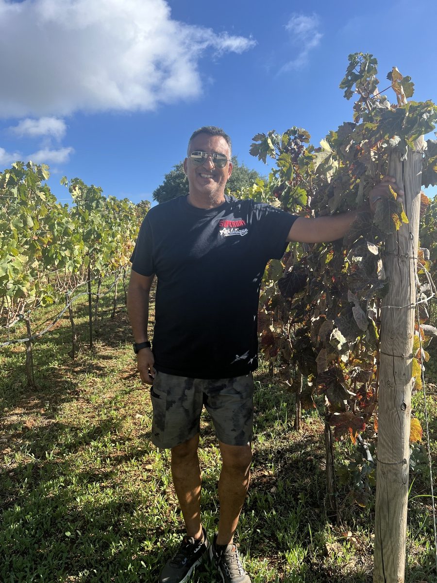 οινογνωσία κρασί Κεφαλονιά