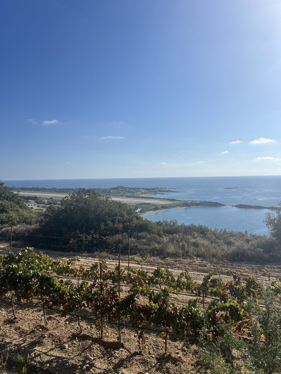 οινογνωσία κρασί Κεφαλονιά