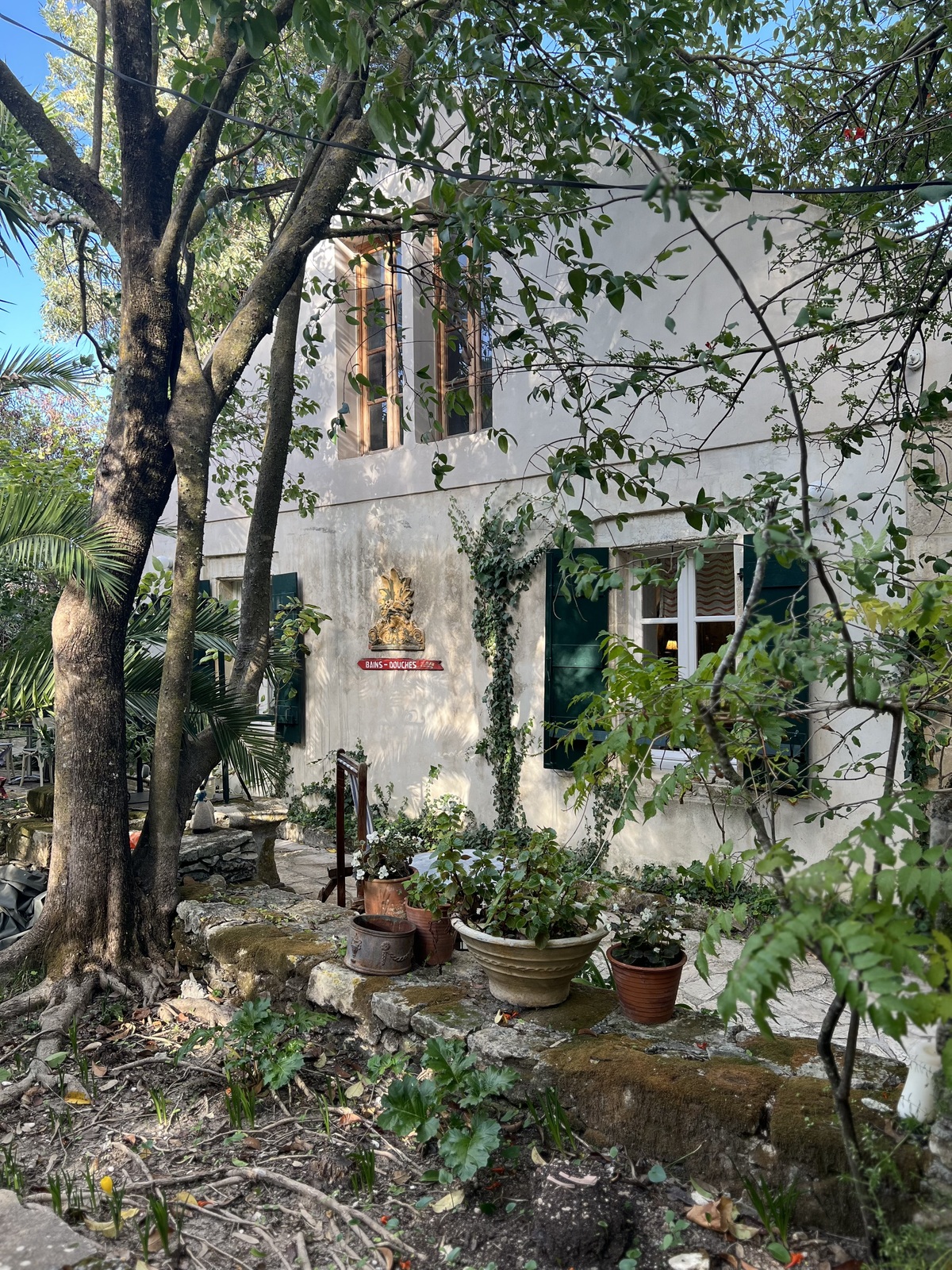 οινογνωσία κρασί Κεφαλονιά