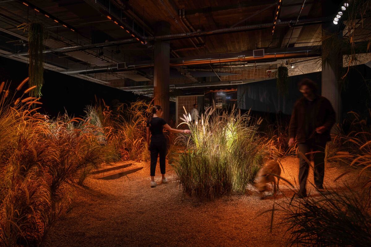 έκθεση αρχιτεκτονικής