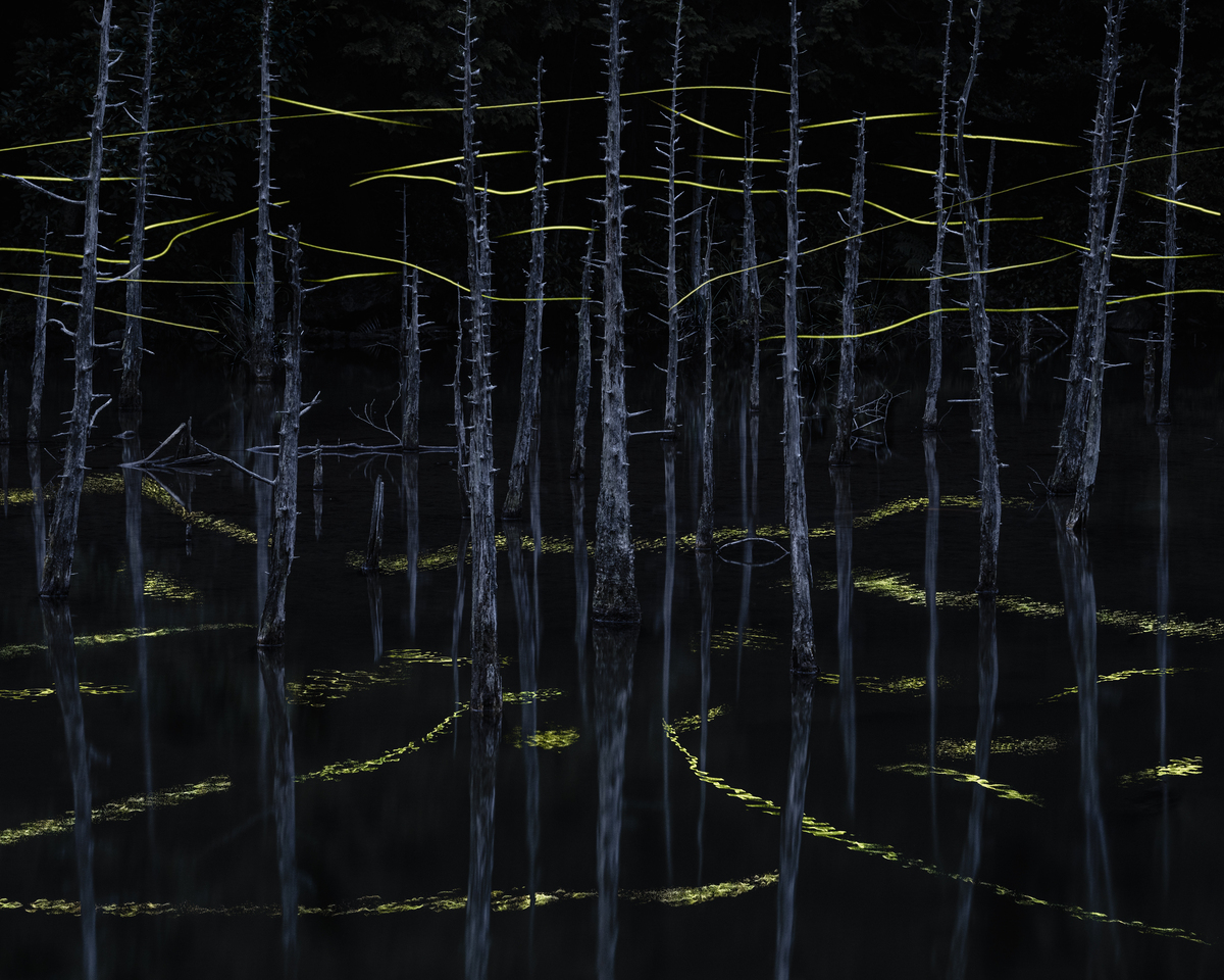 Traces of light