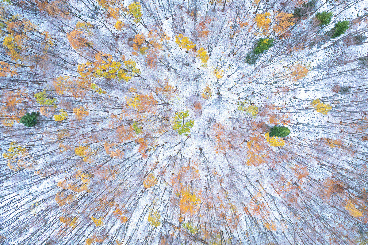 Early Autumn