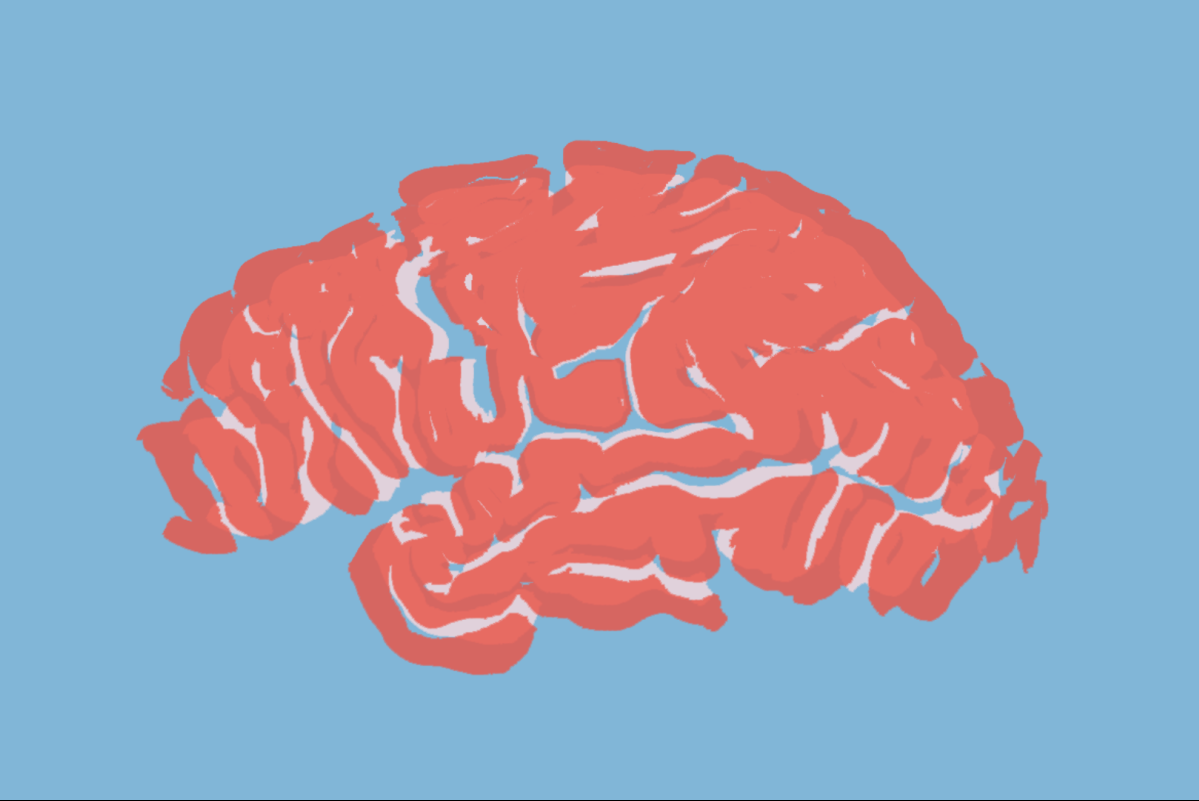 Πότε «ενηλικιώνεται» στ’ αλήθεια ο εγκέφαλος;